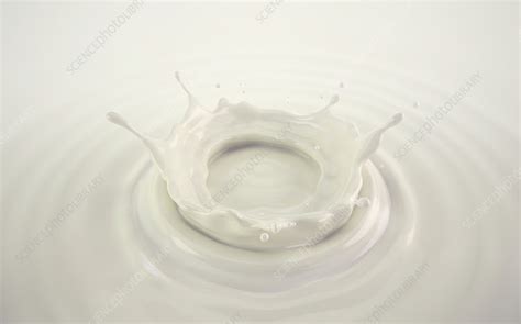 Milk Crown Splash With Ripples Illustration Stock Image F0344128