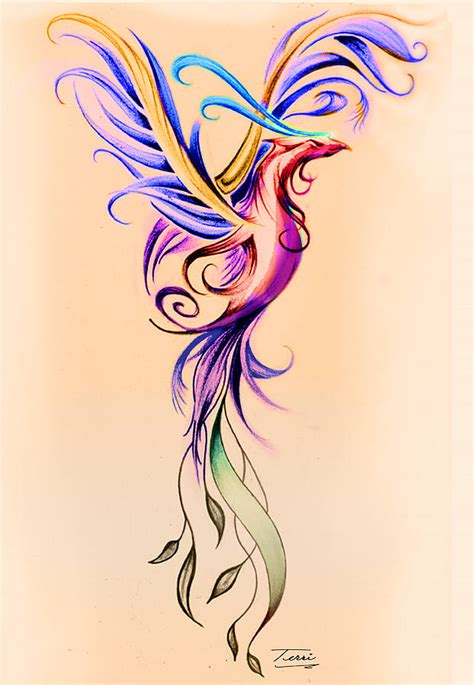 Phoenix Color Drawing By Terri Meredith