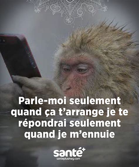 Pingl Sur Citations