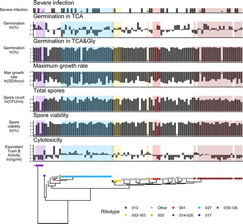 Strain Variation In Clostridioides Difficile Cytotoxicity Associated