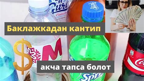 Кантип баклажкадан акча тапса болот? /Баклажка топтоп, евро тап ...