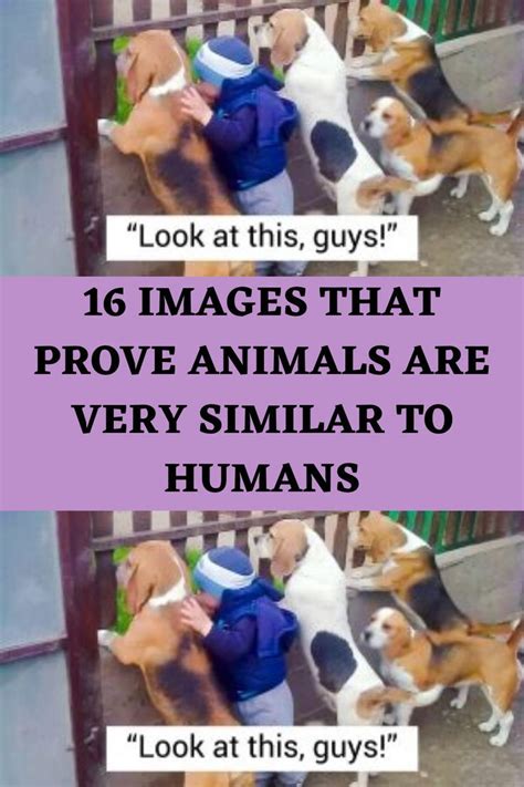 16 Images That Prove Animals Are Very Similar To Humans Artofit