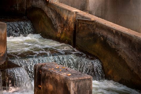 Fish Ladder Park