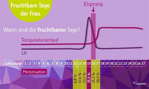 Schneller Schwanger Werden Mithilfe Eines Eisprungrechners Cyclotest