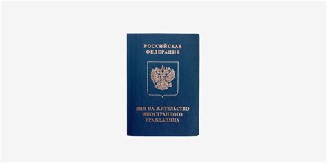 Вид на жительство в России в 2023 как получить ВНЖ документы