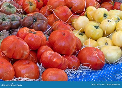 Tomates Grandes De Diferentes Colores Imagen De Archivo Imagen De