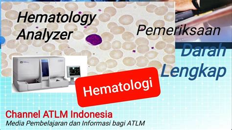 Pemeriksaan Darah Lengkap Hematology Analyzer YouTube