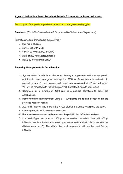 Tobacco Leaf Infiltration Protocol Agrobacterium Mediated Transient