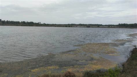 Lnm Real Estate Services Balasan Iloilo Province 30 Hectare Fish Pond