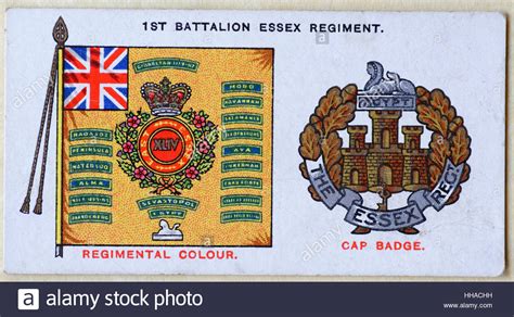 Essex Regiment Hi Res Stock Photography And Images Alamy