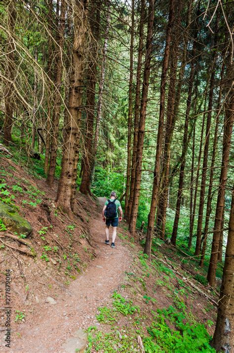 Dorf Tirol Tirolerweg Tiroler Kreuz Wald Waldweg Wanderweg