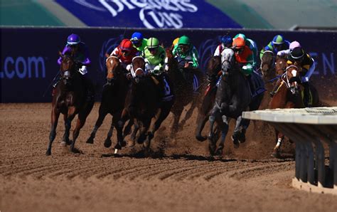 Breeders Cup Dates And Results Audi Marena