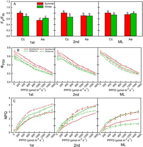 Maximum Photochemical Efficiency Fv Fm A Light Response Curves Of