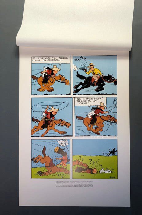 Tintin Sérigraphie Casterman Bicentenaire des Catawiki