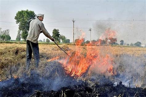 पराली की समस्या से निपटने के लिए पंजाब सरकार ने लिया महत्वपूर्ण निर्णय