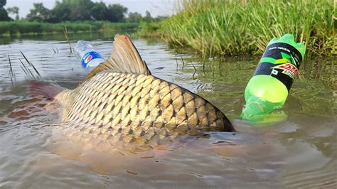 Amazing Bottle Hook Fishing Technique Catching Fish With Plastic