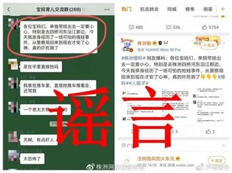 芦淞区有人抢小孩？女子为吸引群友关注竟编造谣言 澎湃号·媒体 澎湃新闻 The Paper