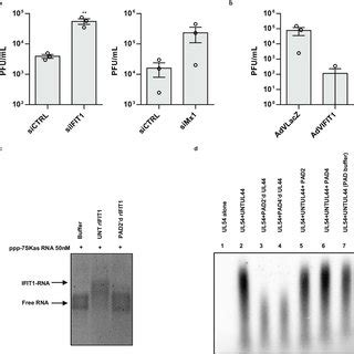 Characterization Of The Citrullinated Proteome Citrullinome Of