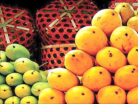 Mangoes in Pakistan: Varieties, Production & Export – Startup Pakistan