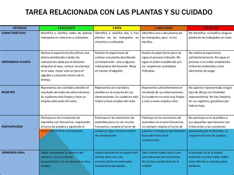 Rubrica Para Evaluar Una Tarea En Educación Infantil Ejemplo