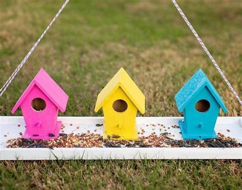 20 DIY Oriole Feeder Plans For Your Garden - DIYnCrafty