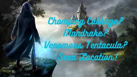 Hogwarts Legacy Where To Find Chomping Cabbage Seeds Mandrake Seeds