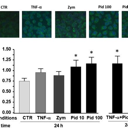 Immunofluorescence And Flow Cytometry Analysis Of Tlr Expression