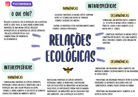 Identifique As Rela Es Ecol Gicas Apresentadas Na Representa O