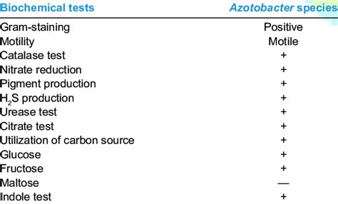 Biochemical characteristics for the identification of Azotobacter ...