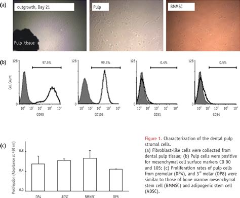 Figure 1 From Morphological Evaluation During In Vitro Chondrogenesis Of Dental Pulp Stromal