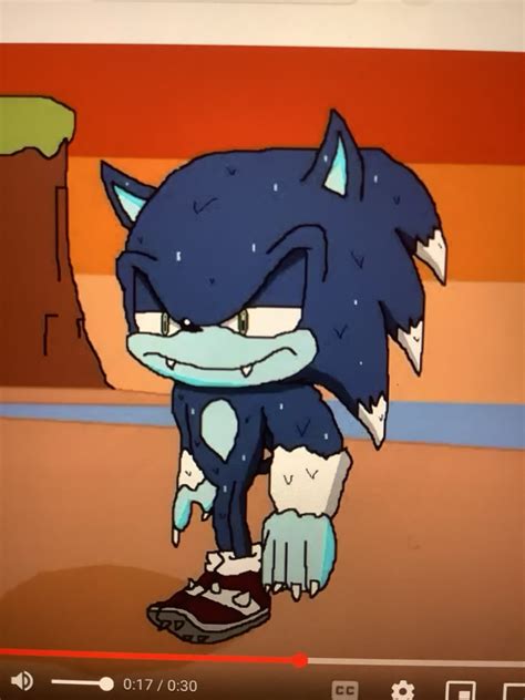 Wet Werehog Sonic Fandom