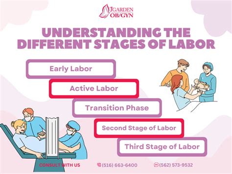 Understanding The Different Stages Of Labor Garden OBGYN Obstetrics