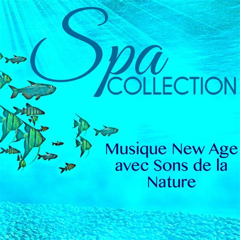 Spa Collection Musique New Age Avec Sons De La Nature Merveilleux