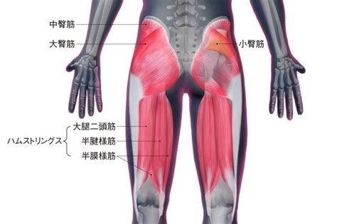 ＜ゴルフと筋肉＞お尻＆太もものストレッチ｜ゴルフと筋肉｜gdo ゴルフレッスン・練習
