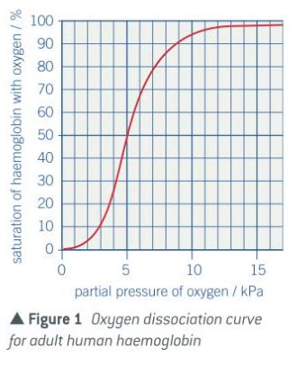 AQA A Level Biology Topic 7 2 Transport Of Oxygen By Haemoglobin