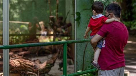 Bosque de Ribeirão abre para visitação nesta terça de Carnaval