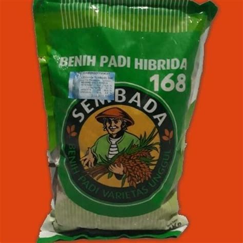 harga padi sembada terbaru desember  biggo indonesia