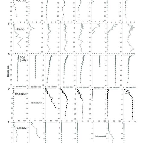 Porewater And Solid Phase Geochemical Data For A Particulate