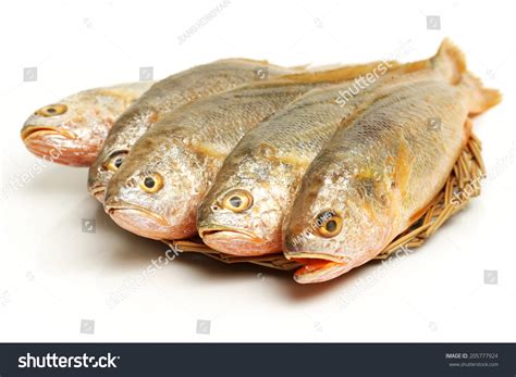 Yellow Croaker Fish On White Background Stock Photo 205777924 ...