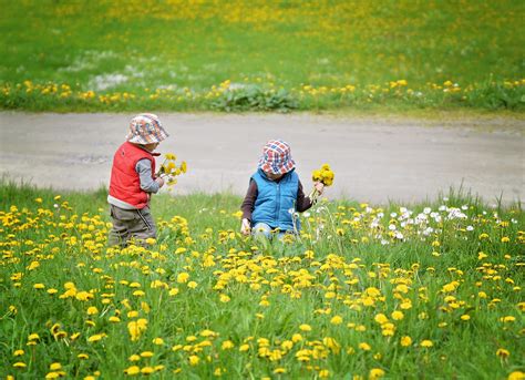 Free Images Nature Grass Prairie Green Produce Human Yellow