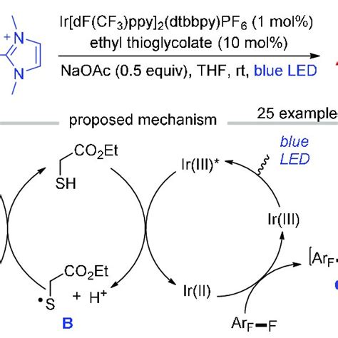 Scheme 32 Redox neutral γ γ difluoroallylation of cycloketone oxime