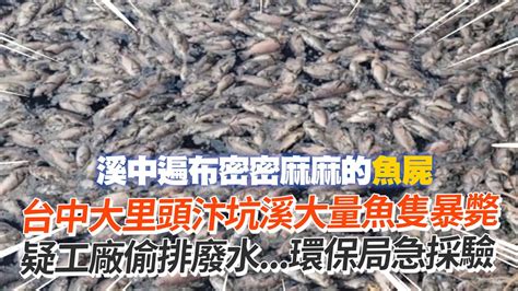 台中大里頭汴坑溪大量魚隻暴斃 疑工廠偷排廢水環保局急採驗｜社會 Youtube