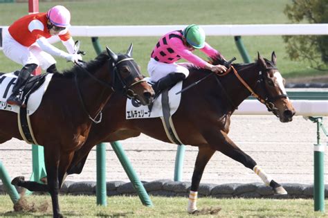 新馬戦回顧 メイクデビューの勝者達 2023年01月29日日 ウマフリ 競馬コラム＆ニュース