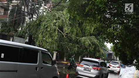 Hujan Guyur Jakarta Pohon Di Jalan Sudirman Tumbang News Liputan6