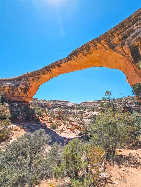 Guide for Visiting Natural Bridges National Monument: Hiking + Things to Do