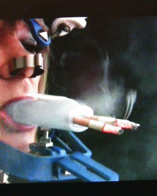 Trained Porn Pics PICTOA