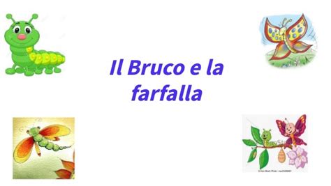 Il Bruco E La Farfalla