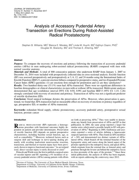 PDF Analysis Of Accessory Pudendal Artery Transection On Erections