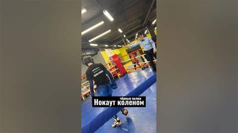 Нокаут коленом 🐺чёрные волки 🐺 #волк #нокаут #нокаутирующийудар #колени ...