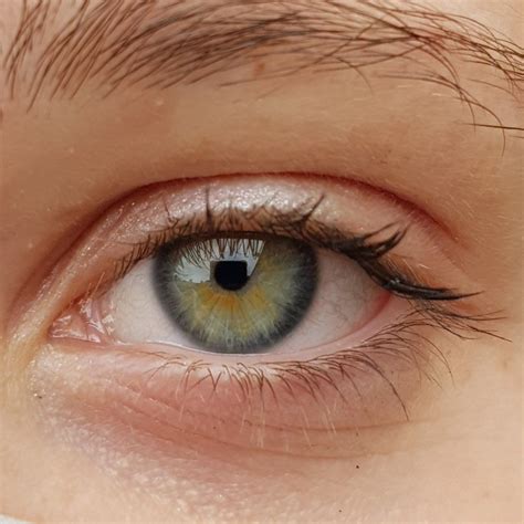 Por Qué Las Personas Con Ojos Verdes Son únicas Cosas Sorprendentes Sobre Los Ojos De Color